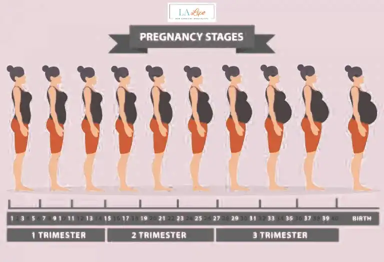 First Trimester (Weeks 1–12): Early Changes You Might Not Notice East Grinstead
